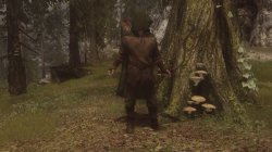Мод для Skyrim — Легкая броня вора