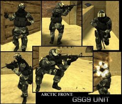Модель игрока Arctic Unit