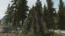 Мод для Skyrim — Разновидность деревьев Скайрима HD