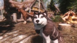 Мод для Skyrim — Полезные собаки