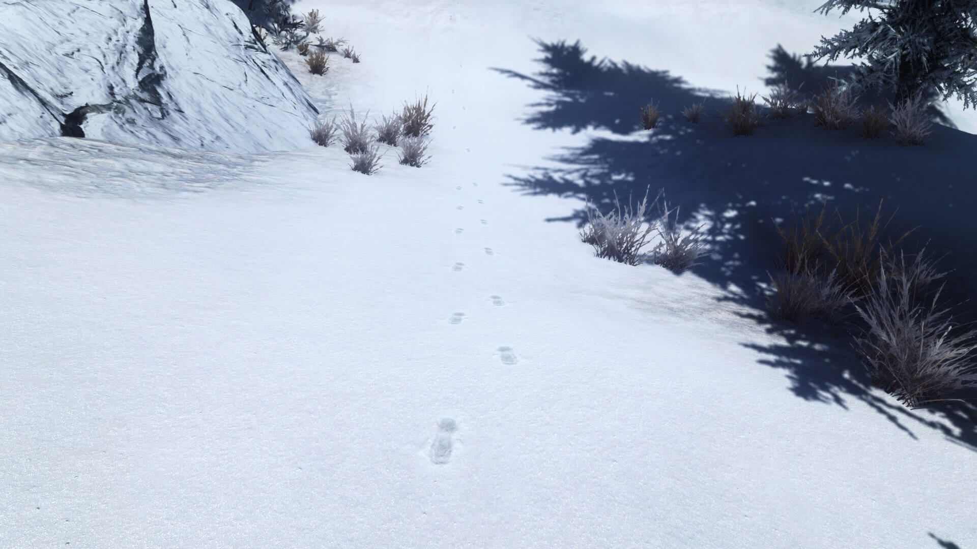 Квест игра след. Скайрим footprints. Следы на снегу. Следы. Следы на снегу игра.