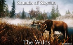 Звуки Скайрима — открытый мир